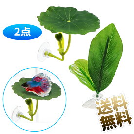 【各1枚計2枚】 ベタベッドリーフ ベタ用休憩リーフ 吸盤付き 自然再現設計魚 水槽 アクセサリー アクアリウム装飾 観賞魚 熱帯魚 金魚 隠れ家 大きなつぼみの蓮の葉（直径6cm×高さ4.5cm）ベタの休息用二重葉（直径5cm×高さ10cm）