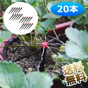 y20z  p[c  Lbv  蓖 hbp[ p[c 360x \ A ~  K[fjO ʒ _HmY |pi U