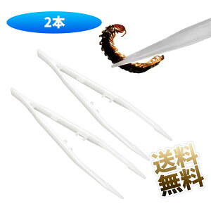 y2_z ঒ sZbg a SsZbg ވSaNbv   JG aNbv a