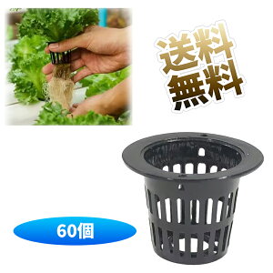 y60z k͔| A vX`bNbV|bg k͔||bg | 뉀 K[fjO A | L@ | |{ Ԗ~ Ac