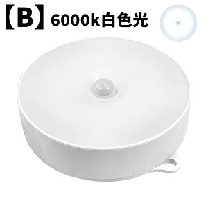 ZT[Cg l \ }OlbgƓ\t^  LEDZT[Cg _  ԃCg  P3dr3{ŋ쓮