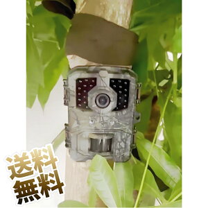 gCJ ~jhƃJ 4K h iCgrW ÎJ  ̌m ԊOlZT[ microSD }CNUSBP[u DC3.5mm×1.35mmWbN P3dr4{ (ʔ) 11.1cm×9cm×6.3cm