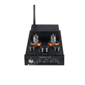 【在庫あり!即納可!】BOWDOCK 真空管HiFiデジタルミニアンプ BOWDOCK TUBE BTA2351