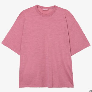 icebreaker �A�C�X�u���[�J�[ U Merino 150 Nature Dye SS Tee IB0A56ZG