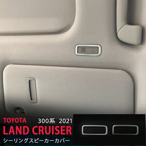 yX[p[SALE10zhN[U[ 300n 2021N8` Ci[Xs[J[K[jbV V[OXs[J[Jo[  XeX }bgdグ  2P 5927 JX^ p[c ANZT[ 