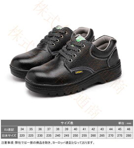 SC ƌC Ȃ Y fB[X   ZteB[V[Y SXj[J[ A[NV[Y c |c ܐK[h C ₷ Ȃ ϊ ݔ