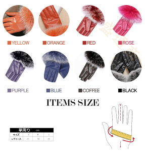  fC[X U[ @t@[t v fC[X U[ vO[u oCN O[u ʋ  fC[X U[ h ۉQ O[u@fC[X@oCNO[u