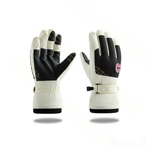 Xm[{[hO[u XL[O[u oCNO[u LbY WjA Y fB[X  O[u h g  ] oCN ʋ ʊw Y fB[X Mtg 