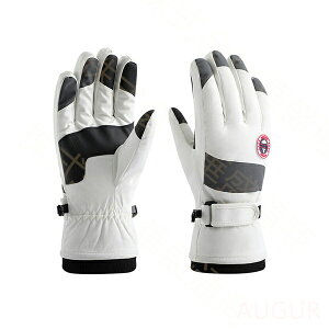 Xm[{[hO[u XL[O[u oCNO[u LbY WjA Y fB[X  O[u h g  ] oCN ʋ ʊw Y fB[X Mtg 