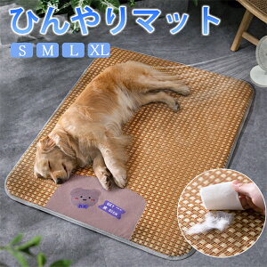 yS-XLzybgxbh ėp Ђ}bg p^ pxbh }bg ybg NbV  đ΍ ΍ MǑ΍ Lpxbh ʋC ybg N[}bg ~ ybgNbV