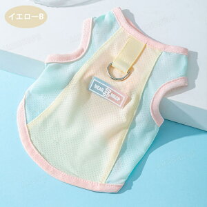 yXS-XXLz hbOEFA p ⊴ xXg Ђ p N[xXgbV pxXg  ̕ L xXg ėp MǑ΍ ΍ ʋC ڐG⊴  畆ی