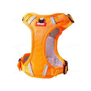 yXS-XLzpn[lX ^ ^ ^ n[lX p   TCY\ p P U Eɂ Ԕˍ h~ n[lX ʋCQ  IW F 