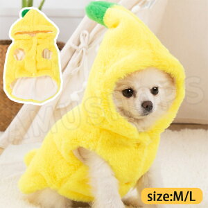 ybg oii RXv L ^ oii  lR  ybgRXv oii 킢 ybg L  ybg H~  ̕ hbOEFA g I[o[I[ L 