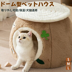 yS/M/Lz L nEX h[^ NbVt ybgxbh L ybgnEX L xbh }bg Lp xbh  ~ ^ L\t@[ ۉ h ӂӂ g ~΍ 