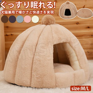 P5&300~off 1601:59܂Ł⌢ nEX L nEX g ~ ybgnEX h[ ybgh[nEX ybgxbh   ^ L h[ g LnEX nEX ۉ h΍ ~