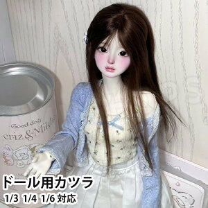 1/3 1/4 1/6bjd�p�E�B�b�O �h�[������ �h�[���p�E�B�b�O �h�[���w�A �l�` �݊����� �����O�w�A �X�g���[�g ���F �u���E�� doll wig 1/6�h�[���p 1/4�h�[���p 1/3�h�[���p ��������