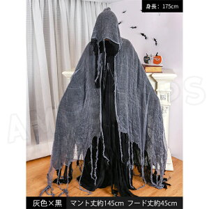 }g nEB zS  @g _ H }g t[ht O lp RXv Y fB[X }g RX`[ nEB ߑ RXv ~ |  Hal