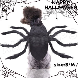 nEB  L RXv ybg w RXv  L w N RX`[ ̕ ybg  ϐg L p ^ ^ nEB Be fʐ^ Halloween 