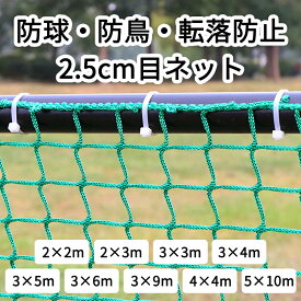 野球 ネット 折りたたみ ゴルフ ネット 防球 ネット 防球ネット 野球ネット ゴルフネット バッティングネット バッティング バスケ サッカー バレーボール テニス テーブルテニス ピッチング 防獣 防鳥 庭 自宅 室内 屋外 外野