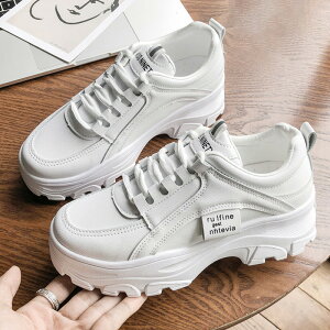  Xj[J[ fB[X V[Y y Xj[J[ Nу^Cv lC ؍ fB[XV[Y r אg  C 傫TCY +5cm ^C Ȃ H~ ʊw 