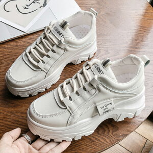  Xj[J[ fB[X V[Y y Xj[J[ Nу^Cv lC ؍ fB[XV[Y r אg  C 傫TCY +5cm ^C Ȃ H~ ʊw 