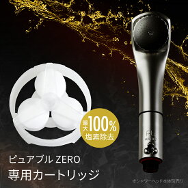 ＜期間限定！最大100%ポイントバック＞月間優良ショップ 塩素除去カートリッジ 塩素除去 塩素除去 頭皮ケア 保湿 美肌 洗浄 消臭 節水 敏感肌