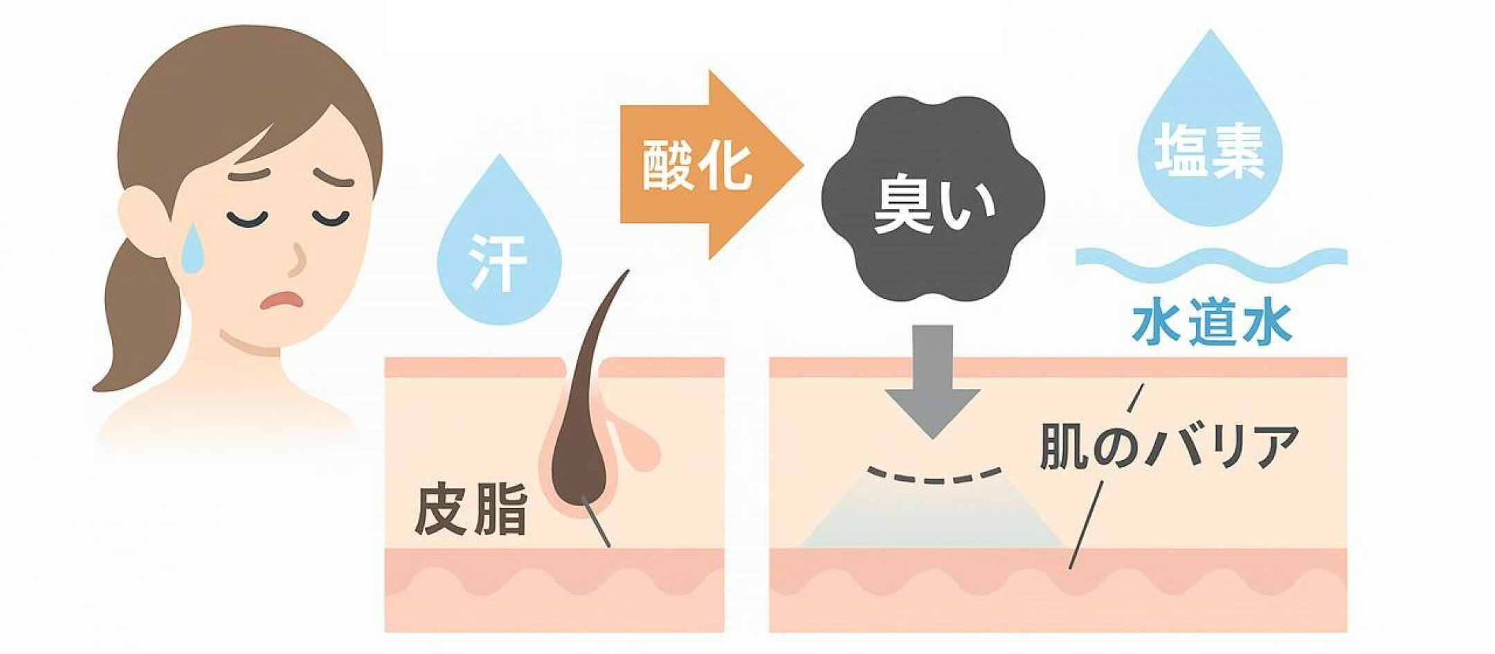 夏の体臭の原因や仕組み