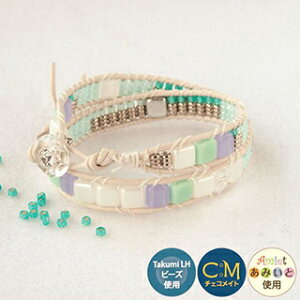 [AD002]TOHOr[YLbg@tF~jbNXANZT[V[Y FEM-4 V[xbgJ[uX[RPT]