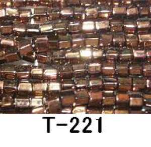 [AA006]TOHOV[hr[Y ʂZpr[Yy20%OFF!!zsRQtT-221yg[z[^OXr[Yz[RPT]