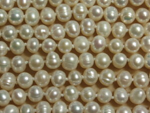 [HB001]yWp[Z[zWp[VRF@OlbNX160cm@6`7mm@zCg