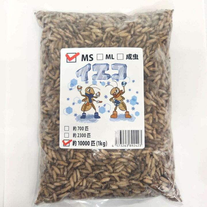 楽天市場】邑楽ファーム 冷凍イエコオロギ MSサイズ 爬虫類 両生類 