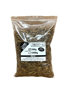 Wyt@[ ~[ 300g nX^[ K nlY~ X   a GT ^ Ai ঒ T J