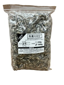 Wyt@[ ⓀGr M 2`3cm 1000g ap ^ Ai ঒ J