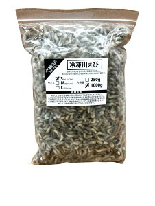 Wyt@[ ⓀGr S 1.5`2cm 1000g ap ^ Ai ঒ J