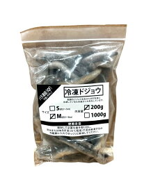 邑楽ファーム 冷凍ドジョウ M 5～8cm 200g 餌用 大型魚 アロワナ 爬虫類 カメ