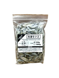 Wyt@[ ⓀcS M 2`3cm 250g ap ^ Ai ঒ J