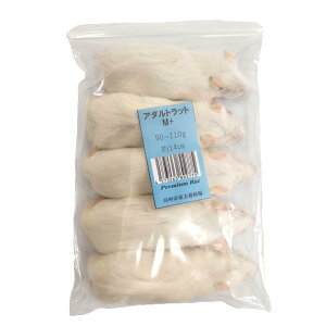 Wyt@[ Ⓚv~Abg A_gM+ 90`110g 5C ঒ 