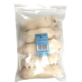 邑楽ファーム 冷凍プレミアムラット アダルトML+ 130~160g 5匹入り 爬虫類 両生類