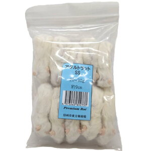 Wyt@[ Ⓚv~Abg A_gSS 20~30g 10C ঒ 