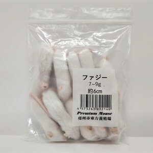 Wyt@[ Ⓚv~A}EX t@W[ 7g~9g 6cm ঒  gJQ wr  Ⓚa Ⓚ}EX GT