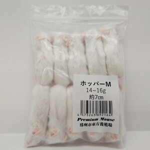 Wyt@[ Ⓚv~A}EX zbp[M 14g~16g 7cm ঒  gJQ wr  Ⓚa Ⓚ}EX GT