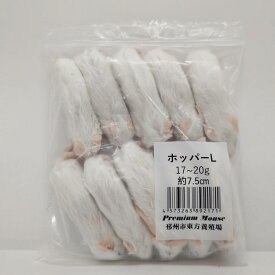 邑楽ファーム 冷凍プレミアムマウス ホッパーL 17g~20g　約7.5cm 爬虫類 両生類 トカゲ ヘビ ヤモリ 冷凍餌 冷凍マウス エサ