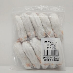 Wyt@[ Ⓚv~A}EX zbp[L 17g~20g@7.5cm ঒  gJQ wr  Ⓚa Ⓚ}EX GT