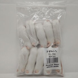 邑楽ファーム 冷凍プレミアムマウス アダルトS 26g~30g 約9.5cm 爬虫類 両生類 トカゲ ヘビ ヤモリ 冷凍餌 冷凍マウス エサ
