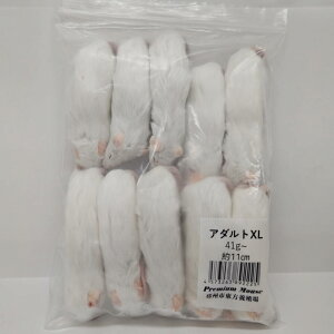 Wyt@[ Ⓚv~A}EX A_gXL 41g~ 11cm ঒  gJQ wr  Ⓚa Ⓚ}EX GT