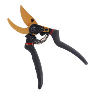 ΂ Ă΂ TNTN؂ ₷ 2iK߉\  tbfR[eBO  ΂ DIY H  t  ƒ؉ p }؂ ~ ʎp ϗt