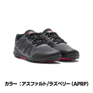 ���������yXEROSHOES �[���V���[�Y�zW's ���T�g���C��II �x�A�t�b�g �n�C�L���O ���[�J�b�g