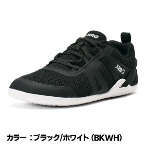 �X�e�b�J�[CP���I����������NEW�J���[��yXEROSHOES �[���V���[�Y�zW�fs �v���I�l�I PRIO NEO �x�A�t�b�g ���C�t�X�^�C�� ���f�B�[�X