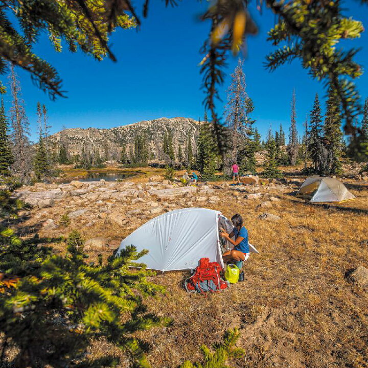 楽天市場】送料無料【ビッグアグネス Bigagnes】《日本仕様》フライ 