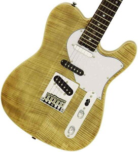 AriaProII 615-AE200 GLM^[ eLX^Cv